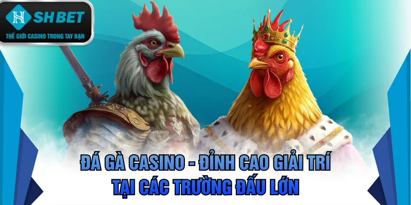Đá gà casino