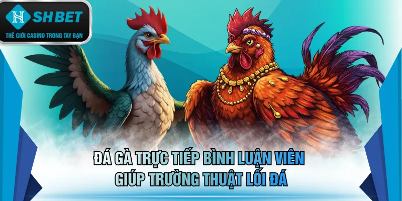 Đá gà trực tiếp bình luận viên giúp trường thuật lối đá