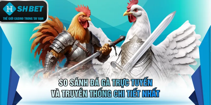 So sánh đá gà trực tuyến và truyền thống chi tiết nhất